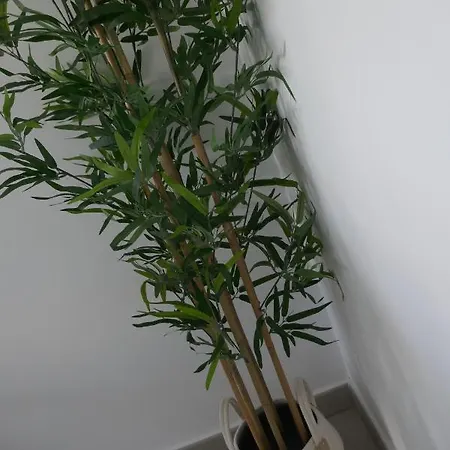Sun 312 Apartment *